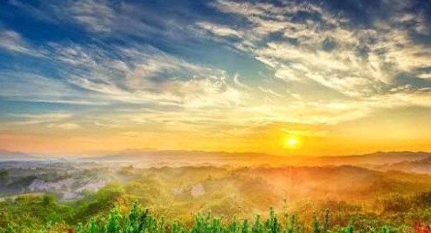 创意公开课 - 蘑菇视频官网入口 - 零基础创意能力提升公开课