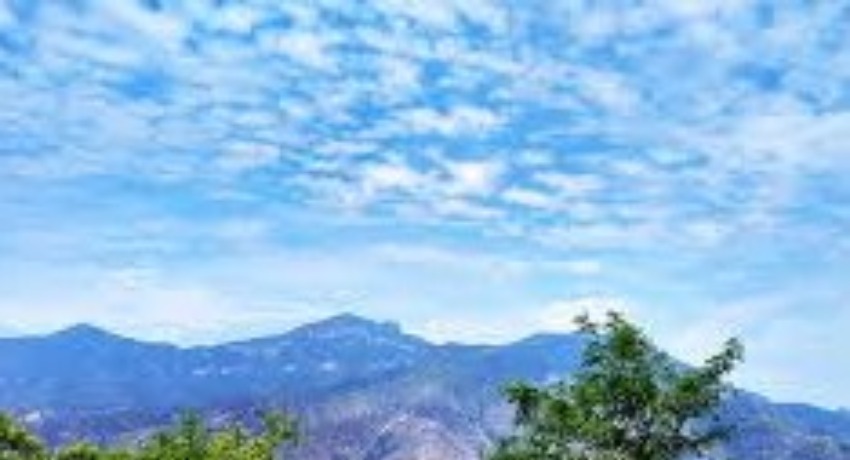 关于我们 - 蘑菇视频app - 品牌底色 藏在细节里的热爱
